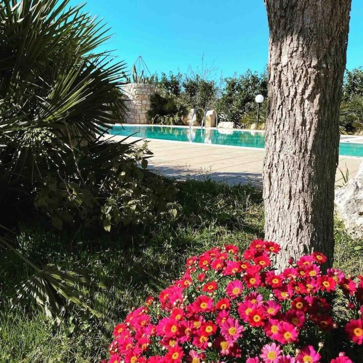 Pugliaholidayplus - Villa Cassano Polignano a Mare Exterior foto